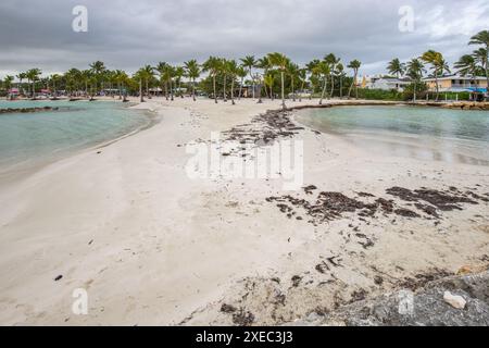 Karibischer Strand mit Palmen, weißem Sand und türkisfarbenem Meer. Plage de Sainte Anne, Guadeloupe Stockfoto