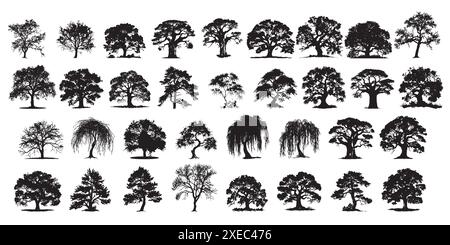 Ein umfangreiches Set mit 34 einzigartigen Baumsilhouetten zeigt eine Vielzahl von Baumarten und -Formen. Stock Vektor