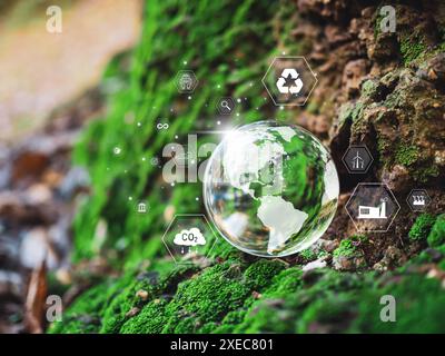 Eine Glaskugel mit einer Weltkarte darauf. Kugeln auf Holzboden mit verschiedenen Symbolen und Symbolen. Szene ist eine Szene des Umweltbewusstseins und der Susta Stockfoto