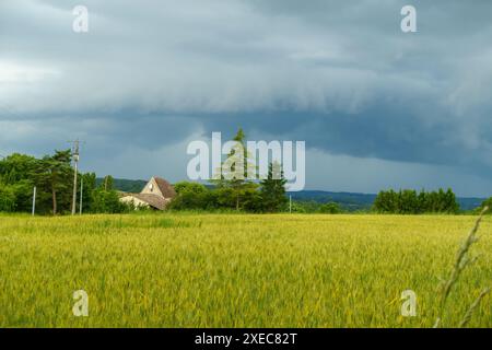 Sturmwolken sammeln sich über einem Bauernhaus in der ländlichen Charente von Frankreich. Jungweizen wächst im Vordergrund. Stockfoto