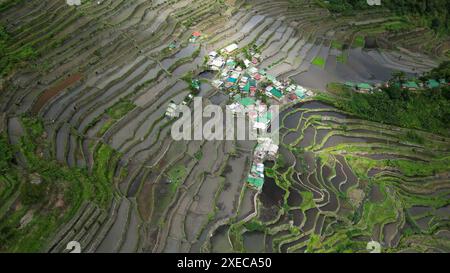 Batad Rice Terrassen auf den Philippinen Stockfoto