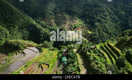 Batad Rice Terrassen auf den Philippinen Stockfoto