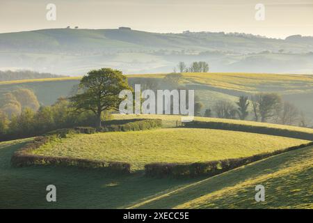 Sanfte Weidelandschaft in der Nähe von Crediton in Devon, England. Frühjahr (April) 2024. Stockfoto