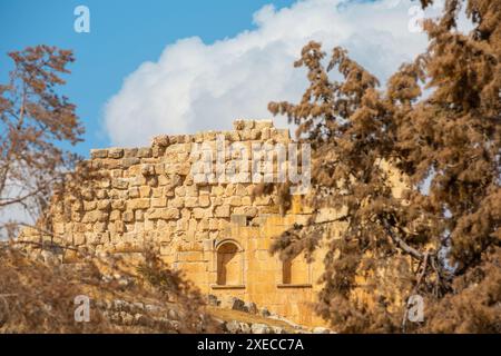 Alte römische Ruinen von Jerash Gerasa, Jordanien Stockfoto