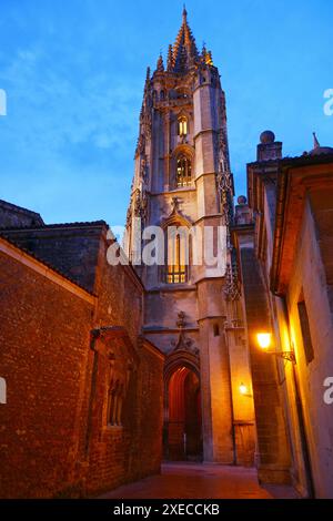 Die Kathedrale von Oviedo in Spanien Stockfoto