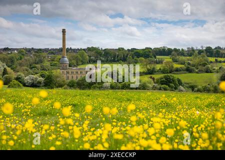 Buttercup Meadow und Bliss Tweed Mill in den Cotswolds, Chipping Norton, Gloucestershire, England. Frühjahr (Mai) 2024. Stockfoto