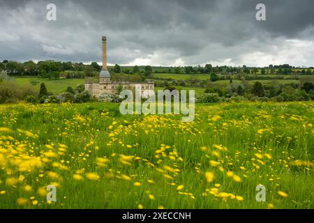 Bliss Tweed Mill über einer Butterblumenwiese in den Cotswolds, Chipping Norton, Gloucestershire, England. Frühjahr (Mai) 2024. Stockfoto