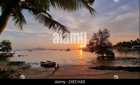 Ein einsames Boot ruht friedlich an einem Sandstrand mit einer majestätischen Palme im Hintergrund unter einem klaren blauen Himmel Stockfoto