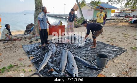 Eine vielfältige Gruppe von Menschen, die um eine bunte Auswahl an frisch gefangenem Fisch herumstehen, Preise aushandeln und über ihre Geldbörse diskutieren Stockfoto