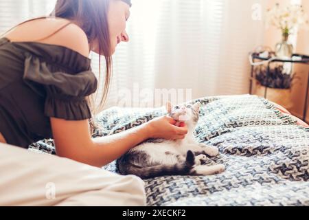 Junge Frau, die mit ihrer weißen und grauen Katze spielt, die zu Hause auf der Couch liegt. Besitzer kratzt Haustier unter dem Hals. Das Tier hat Spaß Stockfoto