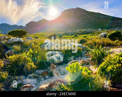 Zerklüftete Berglandschaft mit Fynbos-Flora in Kapstadt. Stockfoto