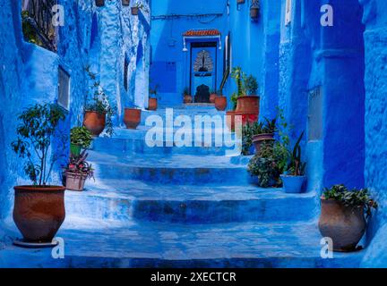 Treppen mit Topfpflanzen führen zu einer Haustür in der blauen Stadt Chefchaouen Stockfoto
