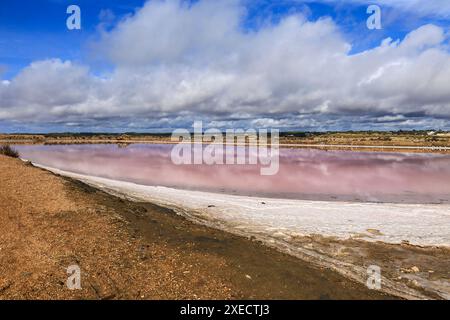 Die Sümpfe der Insel Cristina an einem sonnigen Tag in der Provinz Huelva, Andalusien, Spanien Stockfoto