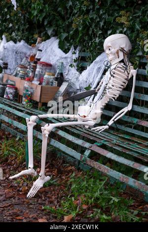 Ein Plastik-Skelett-Modell, das auf einer alten Bank sitzt, mit schrecklichen Gruselgeschenken, bereit für Haloween. Stockfoto