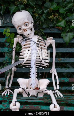 Ein Plastik-Skelett-Modell, das auf einer alten Bank sitzt, mit schrecklichen Gruselgeschenken, bereit für Haloween. Stockfoto