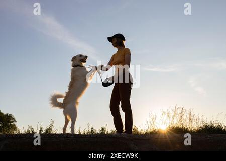 Frau geht mit ihrem weißen Hund bei Sonnenuntergang. Aktiver Lebensstil, digitale Entgiftung, Freude jeden Tag. Silhouetten vor dem Hintergrund des Himmels und des Settin Stockfoto