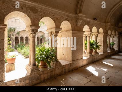 Saint-Rémy-de-Provence, Frankreich. Kreuzgänge im Kloster Saint-Paul de Mausole, wo der berühmte Maler Vincent van Gogh ein Jahr lang malte Stockfoto