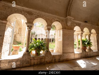 Saint-Rémy-de-Provence, Frankreich. Kreuzgänge im Kloster Saint-Paul de Mausole, wo der berühmte Maler Vincent van Gogh ein Jahr lang malte Stockfoto