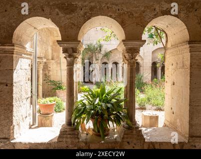 Saint-Rémy-de-Provence, Frankreich. Kreuzgänge im Kloster Saint-Paul de Mausole, wo der berühmte Maler Vincent van Gogh ein Jahr lang malte Stockfoto