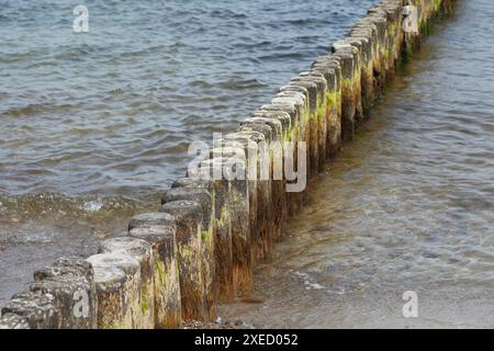 Holzpfeiler an der Ostsee, Kühlungsborn, Mecklenburg-Vorpommern, Deutschland Stockfoto