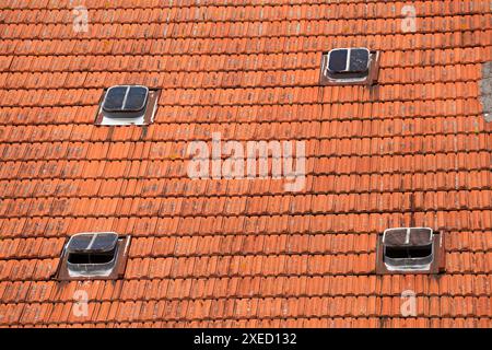 Dach, Oberlichter, rötliche Fliesen, Deutschland Stockfoto