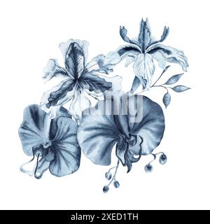 Aquarellmalerei mit Iris- und Orchideenblumen. Handgezeichnete Illustration isoliert auf weißem Hintergrund. Einfarbiges Tintenelement in Blau für Mode und Schönheit Stockfoto