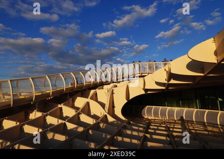 Evilla, Andalusien, Spanien, Metropol Parasol, Setas de Sevilla, Architektur, Holz, Aussichtspunkt von Sevilla Stockfoto