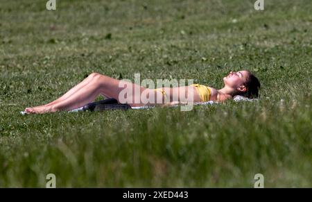 bild zeigt: Hampstead Heath Schwimmer in den Teichen und Sonnenanbeter auf dem Gras. Andere haben gerade ihre Strandkörper für die Kameras gezeigt Stockfoto