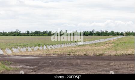 Krieg in der Ukraine. Befestigungen Anti-Panzerdrachen Zähne in Donezk Region, Ukraine Stockfoto