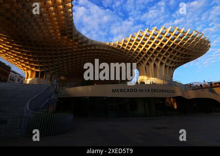 Evilla, Andalusien, Spanien, Metropol Parasol, Setas de Sevilla, Architektur, Holz, Aussichtspunkt von Sevilla Stockfoto