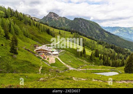 Die Loosbühelalm auf 1.769 m im Großarltal mit Restaurants und Unterkünften liegt am Salzburger Almenweg. Loosbühelalm, Salzburg, Österreich Stockfoto