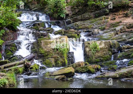 Harz Wasserfall Selkefall Selketal Harz Stockfoto