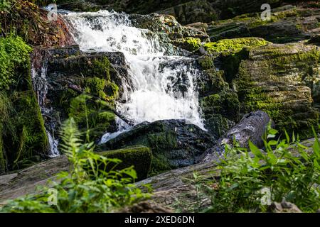 Harz Wasserfall Selkefall Selketal Harz Stockfoto