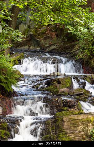 Harz Wasserfall Selkefall Selketal Harz Stockfoto