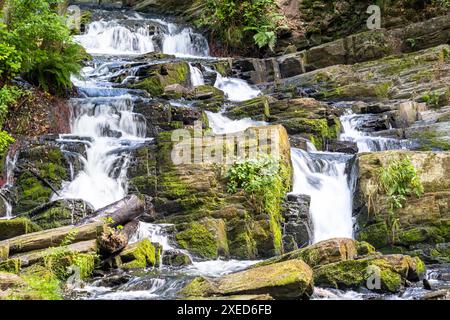 Harz Wasserfall Selkefall Selketal Harz Stockfoto