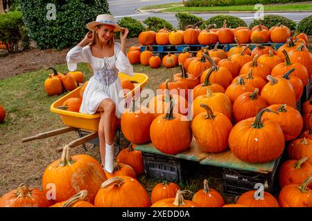 Ein hübsches blondes europäisches Model genießt es, Kürbisse und Blumen für Halloween-Feiertage zu kaufen Stockfoto