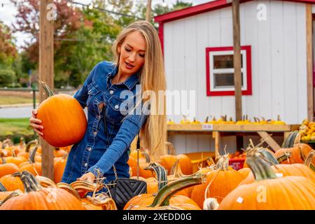 Ein hübsches blondes europäisches Model genießt es, Kürbisse und Blumen für Halloween-Feiertage zu kaufen Stockfoto