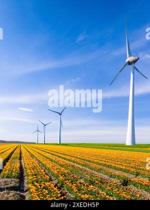 Ein lebhaftes Feld mit gelben Tulpenblüten, die im Wind schweben, vor dem Hintergrund majestätischer Windmühlen Stockfoto