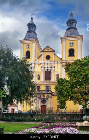 Zisterzienserkirche, Eger, Ungarn Stockfoto