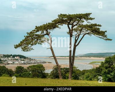 Der Blick über die Flussmündung des River Torridge, mit Appledore in der Ferne, vom Hügel des Tapeley Park in der Nähe von Westleigh in North Devon. Stockfoto