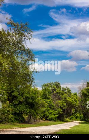 Blick vom Lake Apopka Loop Trail, Florida Stockfoto