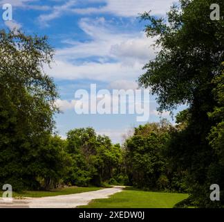 Blick vom Lake Apopka Loop Trail, Florida Stockfoto