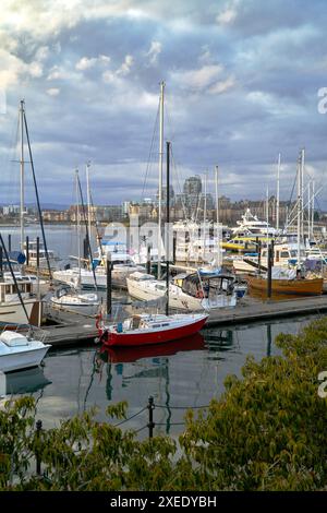 Victoria, Kanada – 12. März 2020. Victoria Inner Harbour Marina am Nachmittag v. Chr. vertikal. Ruhiger Nachmittag im Yachthafen in Victorias Inner Harbour. Stockfoto
