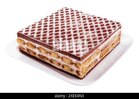 Mehrschichtiger Kakao-Biskuitkuchen isoliert auf weiß Stockfoto