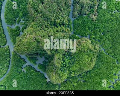 Blick von oben, Luftaufnahme, atemberaubende Aussicht auf den Ao Phang Nga (Phang Nga Bay) Nationalpark mit einem Fluss, der durch einen Mangrovenwald Thailand fließt. Stockfoto