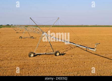 Bewässerungssprinkler, die Wasser auf ein Feld sprühen Stockfoto