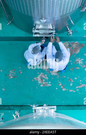 Reife weibliche und männliche Forscher und Entwickler arbeiten in Weinkellereien und testen Wein, der schon länger fermentiert wurde. Stockfoto