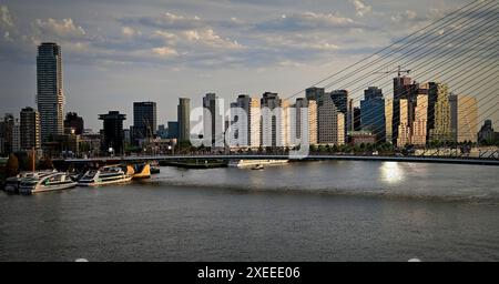 Sonnenlicht am frühen Morgen über der Nieue Maas und der Erasmus-Brücke im Zentrum von Rotterdam. Stockfoto