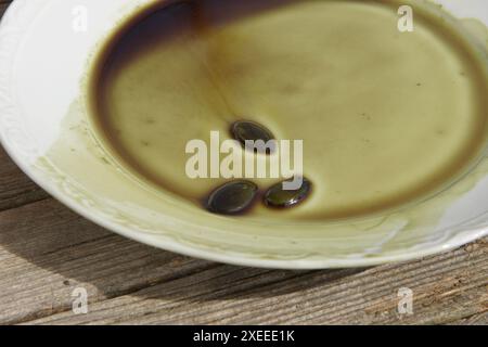 Cucurbita pepo variegata styriaca, Steirischer Kürbis, Samen in Öl Stockfoto