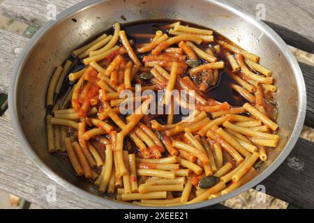 Cucurbita pepo variegata styriaca, Steirischer Kürbis, in Nudeln Stockfoto
